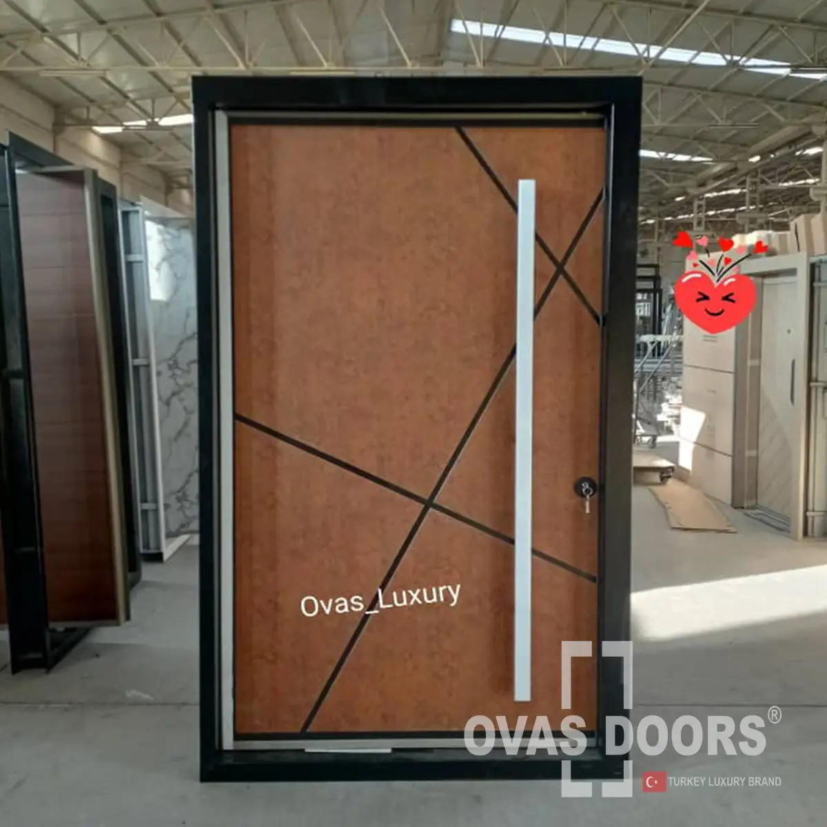 Pivot security door- Ovas Doors-9